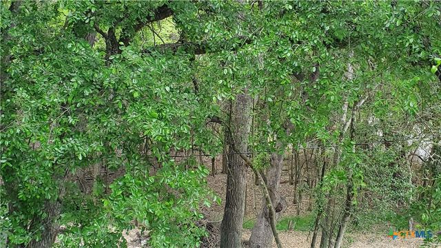 833 Old Ranch Road 12, San Marcos, TX 78666