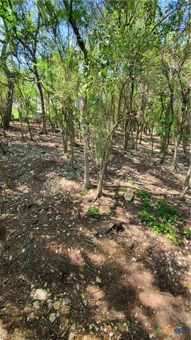 833 Old Ranch Road 12, San Marcos, TX 78666