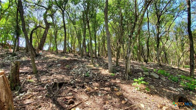 833 Old Ranch Road 12, San Marcos, TX 78666