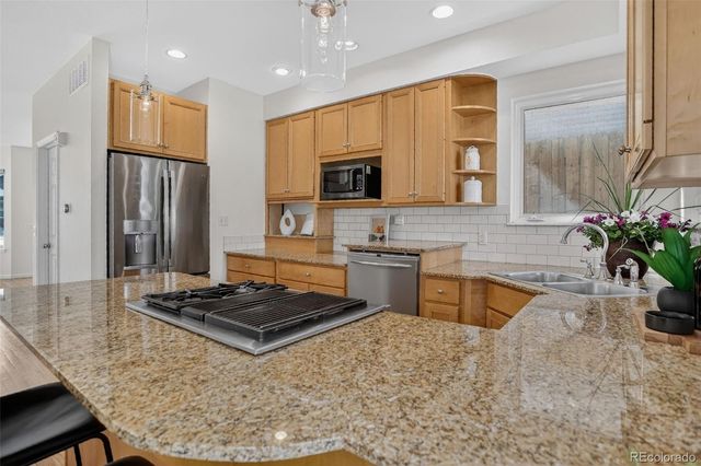 1123 N Elizabeth Street, Denver, CO 80206