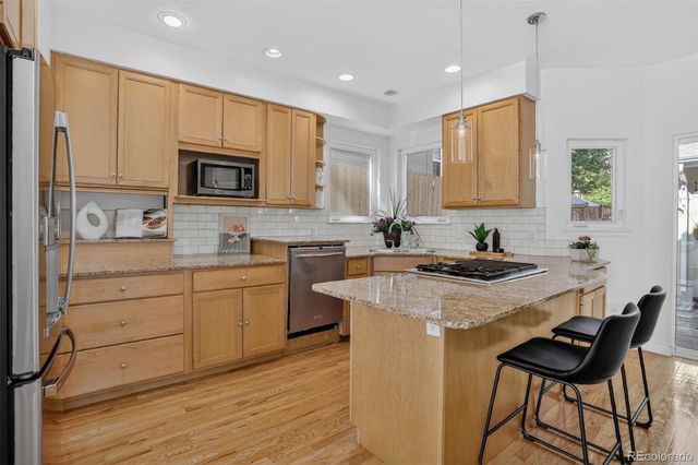 1123 N Elizabeth Street, Denver, CO 80206