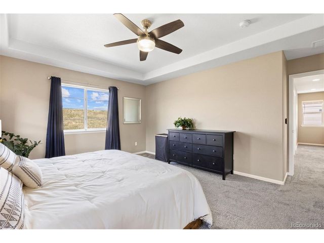 3299 Bittern St, Castle Rock, CO 80104
