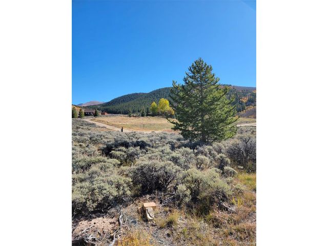 279 Antelope Rd, Leadville, CO 80461