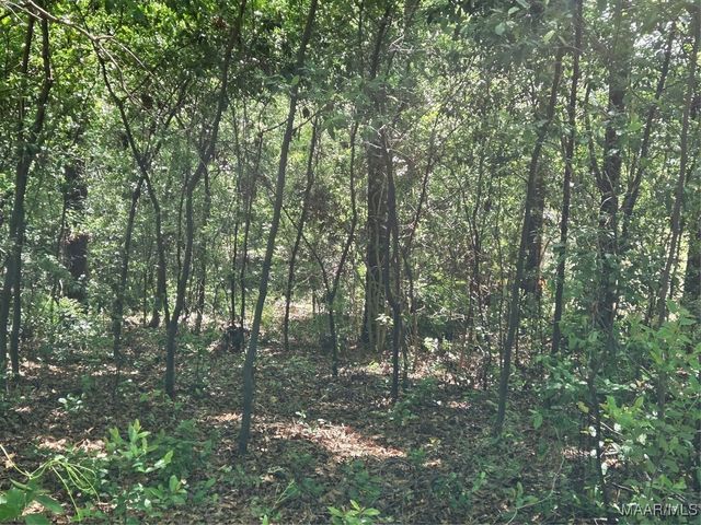 0 Pinecrest Street, Prattville, AL 36067