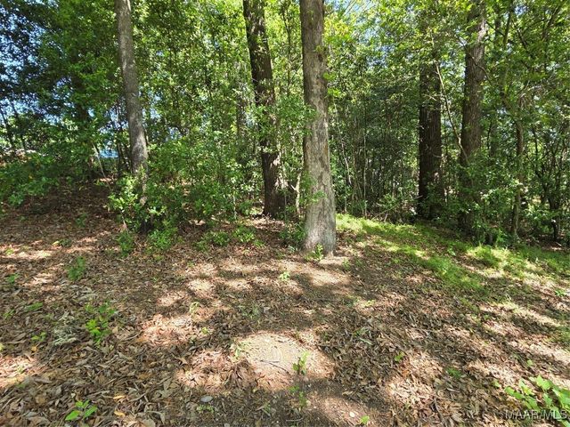 0 Pinecrest Street, Prattville, AL 36067