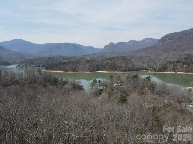 229 Buzzards Place, Lake Lure, NC 28746