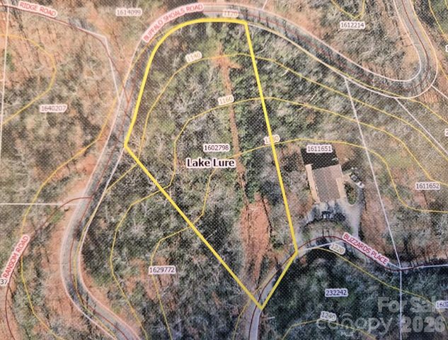 229 Buzzards Place, Lake Lure, NC 28746