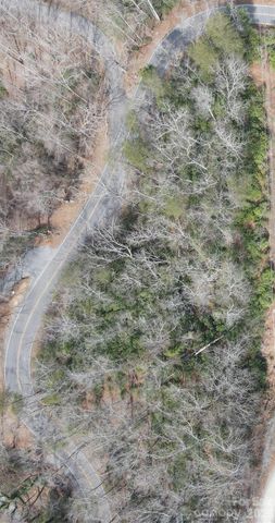 229 Buzzards Place, Lake Lure, NC 28746