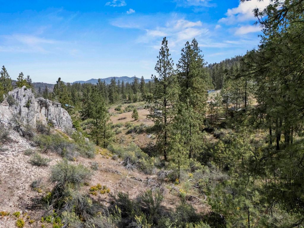 0 E Winterwood Ln, Davenport, WA 99122 photo 12