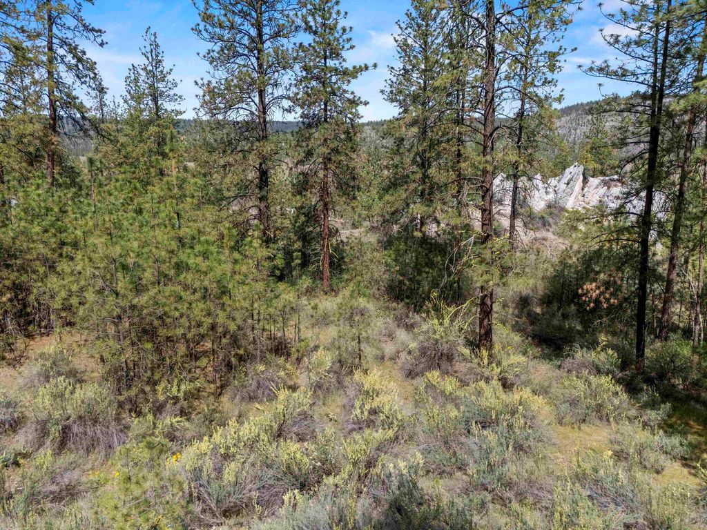 0 E Winterwood Ln, Davenport, WA 99122 photo 13