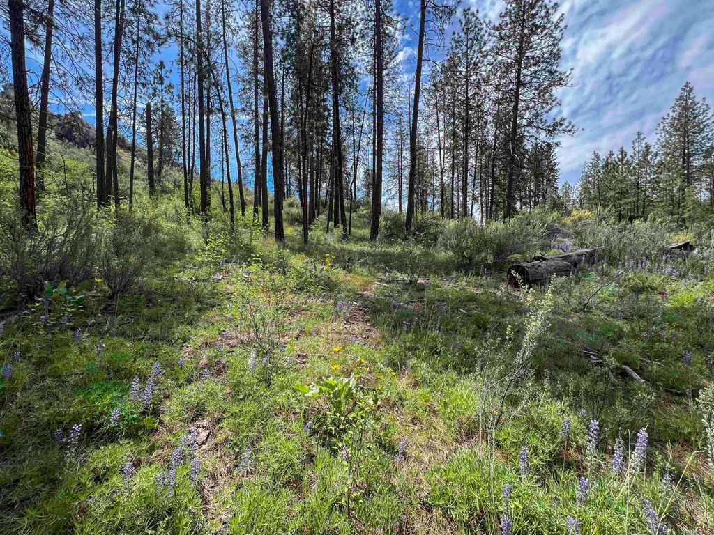 0 E Winterwood Ln, Davenport, WA 99122 photo 14