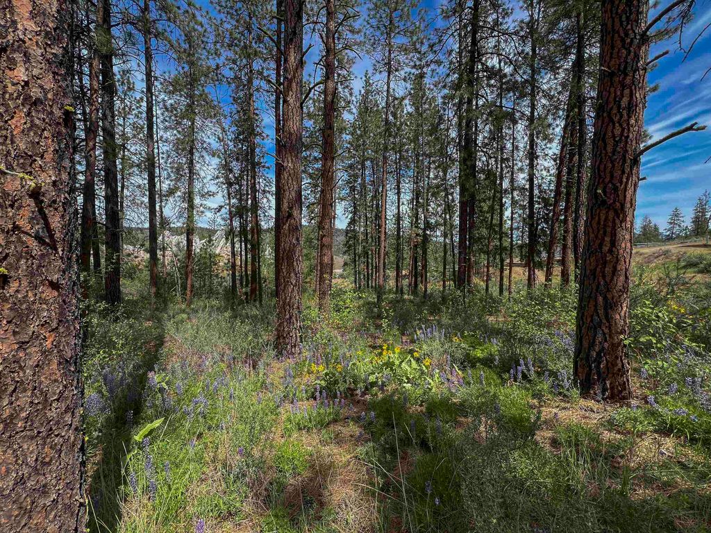 0 E Winterwood Ln, Davenport, WA 99122 photo 16