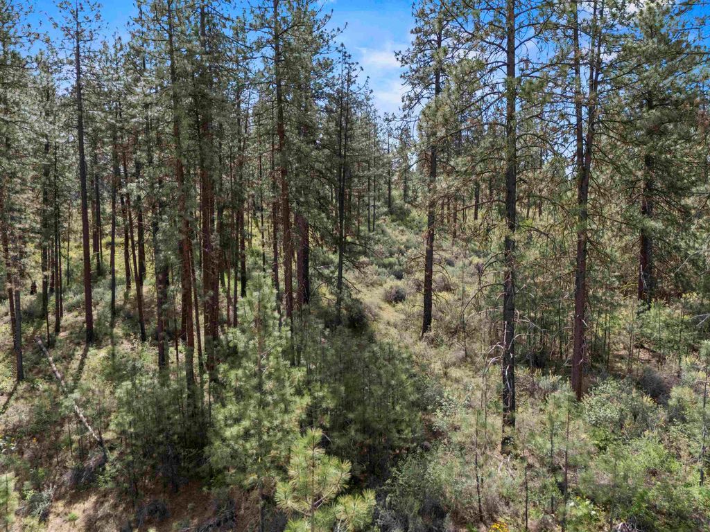 0 E Winterwood Ln, Davenport, WA 99122 photo 19