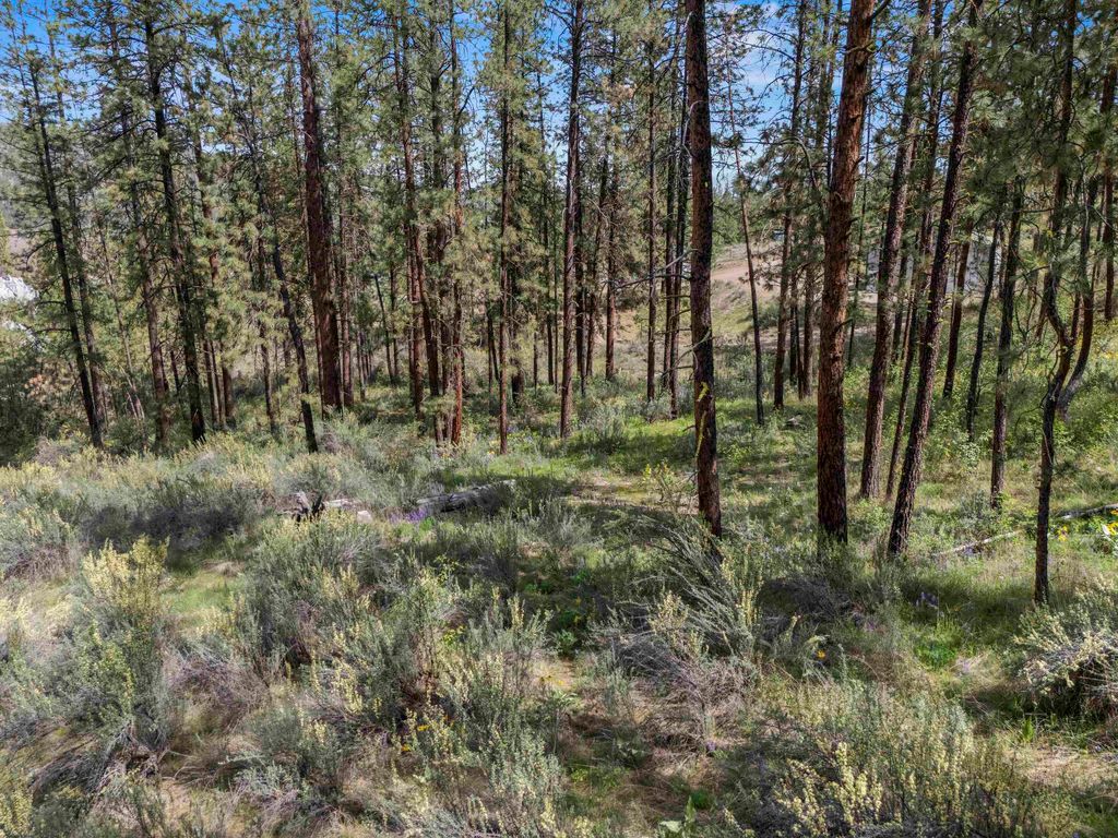 0 E Winterwood Ln, Davenport, WA 99122 photo 20