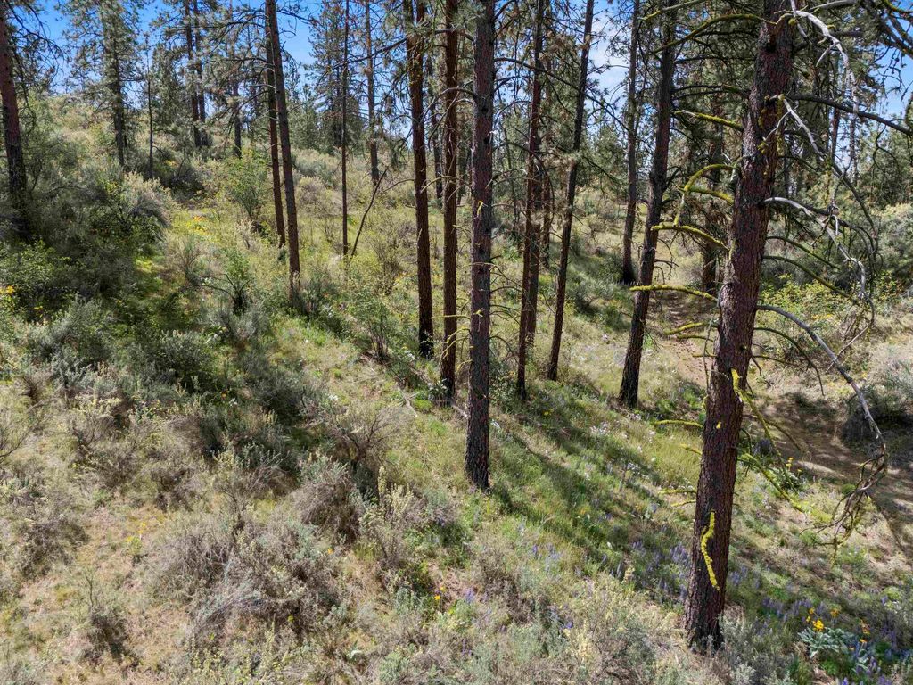 0 E Winterwood Ln, Davenport, WA 99122 photo 21