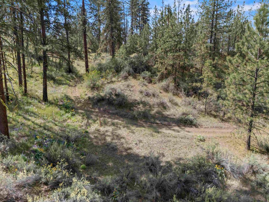 0 E Winterwood Ln, Davenport, WA 99122 photo 22