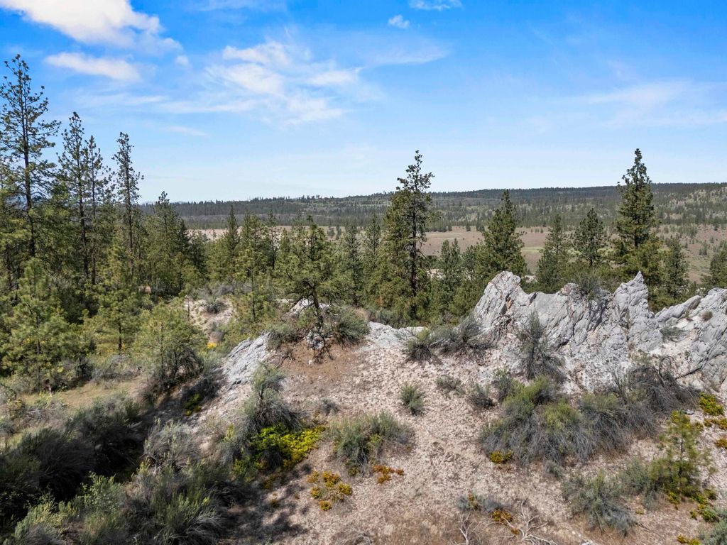 0 E Winterwood Ln, Davenport, WA 99122 photo 24