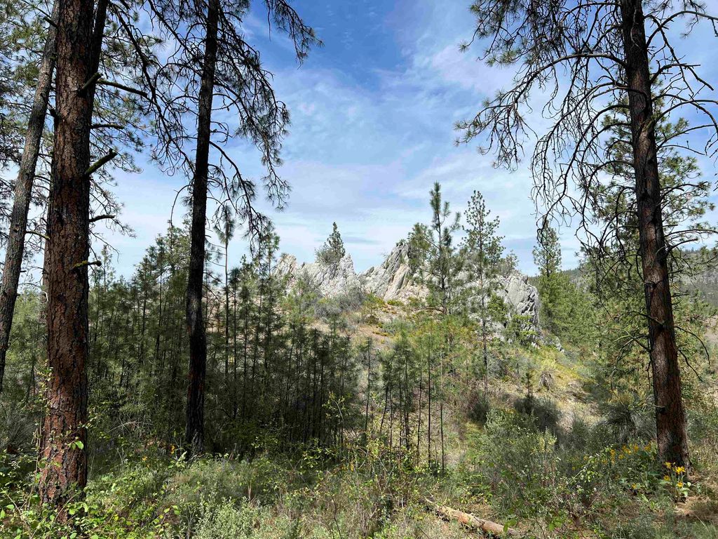 0 E Winterwood Ln, Davenport, WA 99122 photo 25