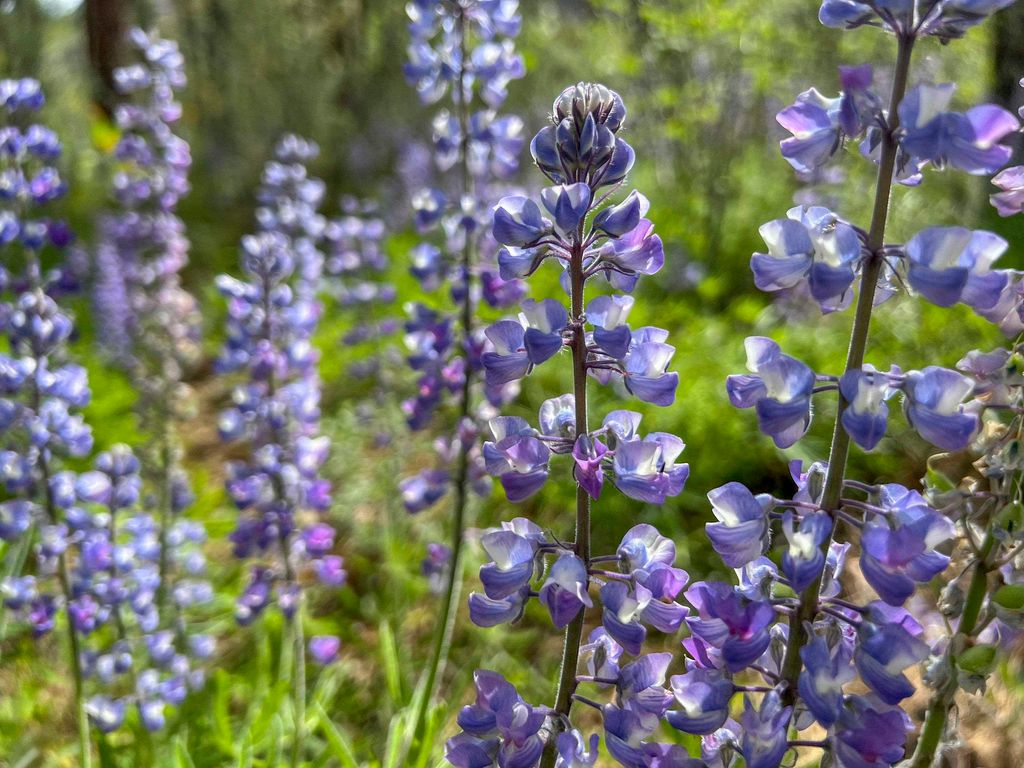 0 E Winterwood Ln, Davenport, WA 99122 photo 32