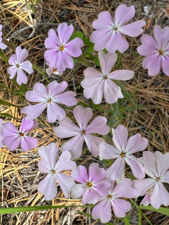 0 E Winterwood Ln, Davenport, WA 99122 photo 33