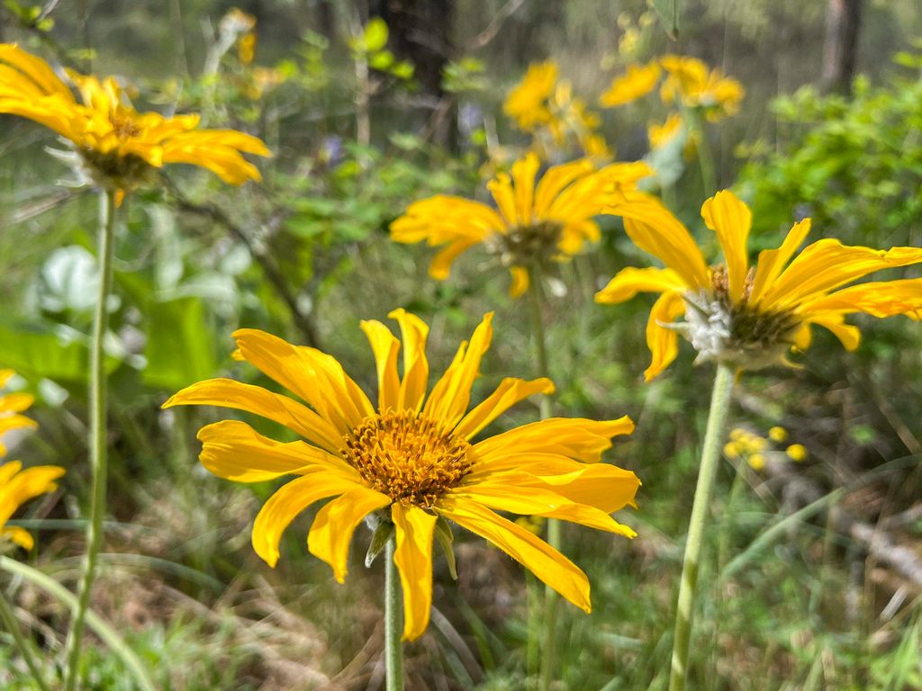 0 E Winterwood Ln, Davenport, WA 99122 photo 34