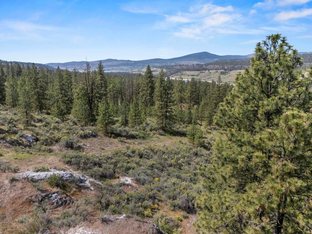 0 E Winterwood Ln, Davenport, WA 99122 photo 10