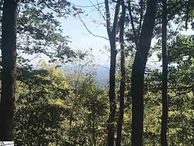 143 Raptor Way, Landrum, SC 29356
