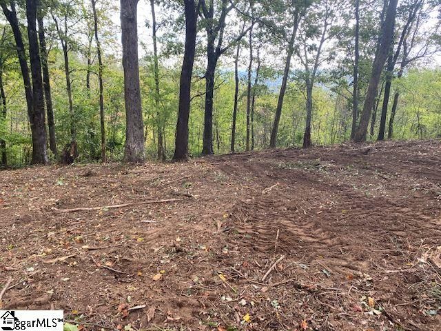 143 Raptor Way, Landrum, SC 29356