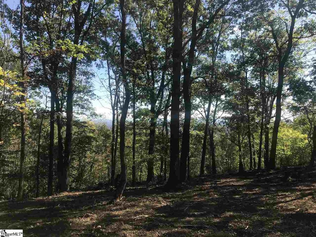143 Raptor Way, Landrum, SC 29356