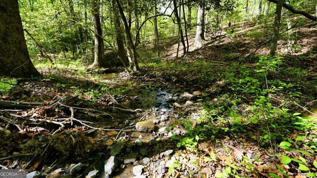 301 Clayton Trail, Canton, GA 30114