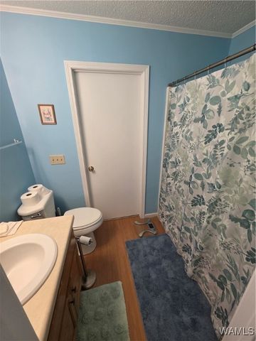 31082 Highway 17, Reform, AL 35481