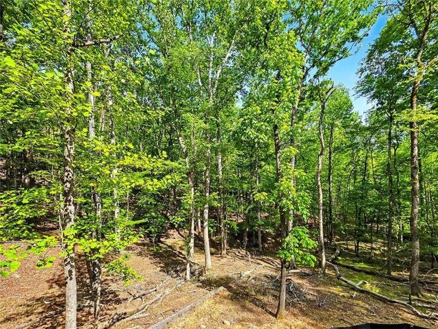 145 Jack Rabbit Drive, Waleska, GA 30183