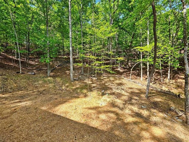 145 Jack Rabbit Drive, Waleska, GA 30183
