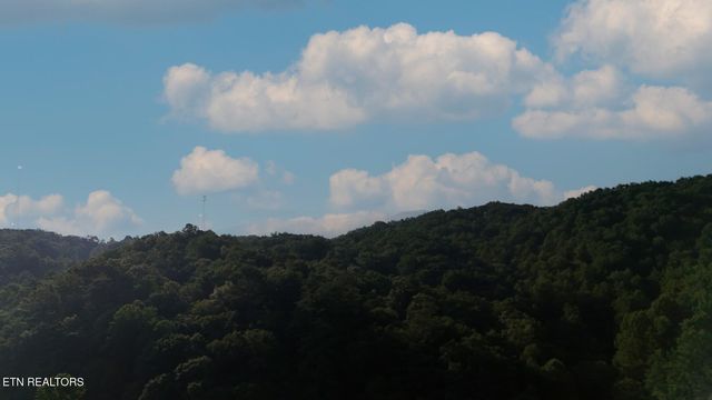 2359 Grassy Branch Rd, Sevierville, TN 37876