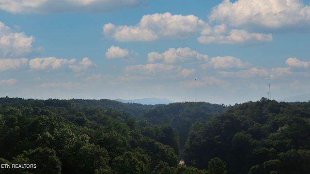 2359 Grassy Branch Rd, Sevierville, TN 37876