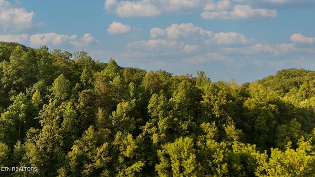 2359 Grassy Branch Rd, Sevierville, TN 37876