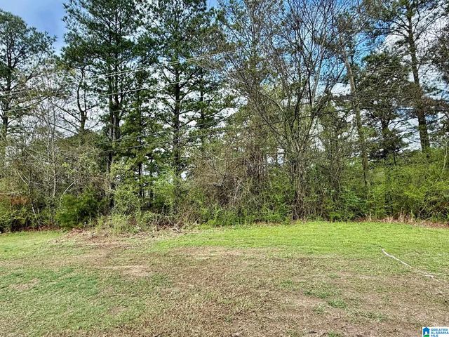 107 BROOKSHIRE LANE, Cropwell, AL 35054