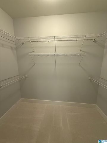 107 BROOKSHIRE LANE, Cropwell, AL 35054