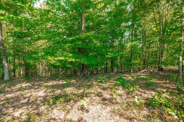 0 Spring Hollow Rd, Lafayette, TN 37083