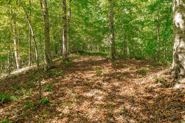 0 Spring Hollow Rd, Lafayette, TN 37083