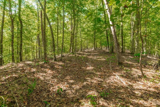 0 Spring Hollow Rd, Lafayette, TN 37083