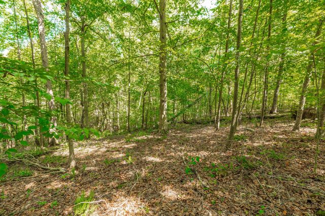 0 Spring Hollow Rd, Lafayette, TN 37083