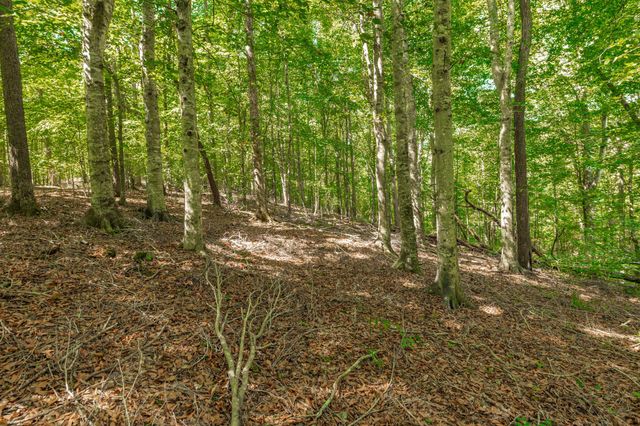 0 Spring Hollow Rd, Lafayette, TN 37083