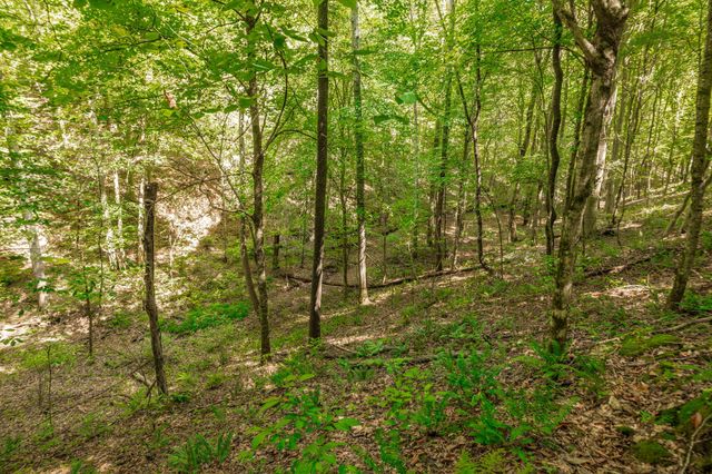 0 Spring Hollow Rd, Lafayette, TN 37083