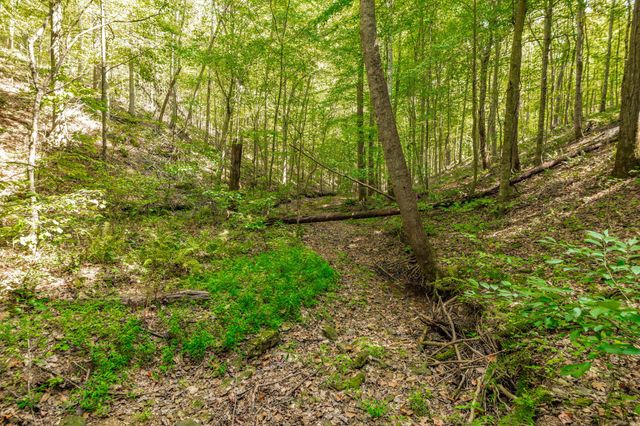 0 Spring Hollow Rd, Lafayette, TN 37083
