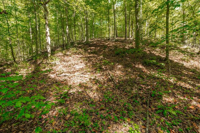 0 Spring Hollow Rd, Lafayette, TN 37083
