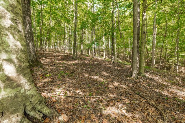 0 Spring Hollow Rd, Lafayette, TN 37083
