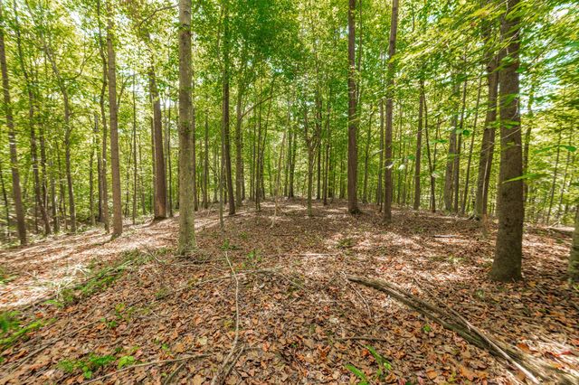 0 Spring Hollow Rd, Lafayette, TN 37083