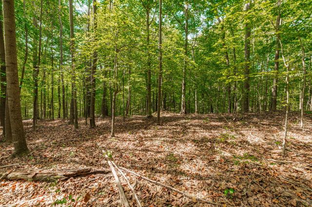 0 Spring Hollow Rd, Lafayette, TN 37083