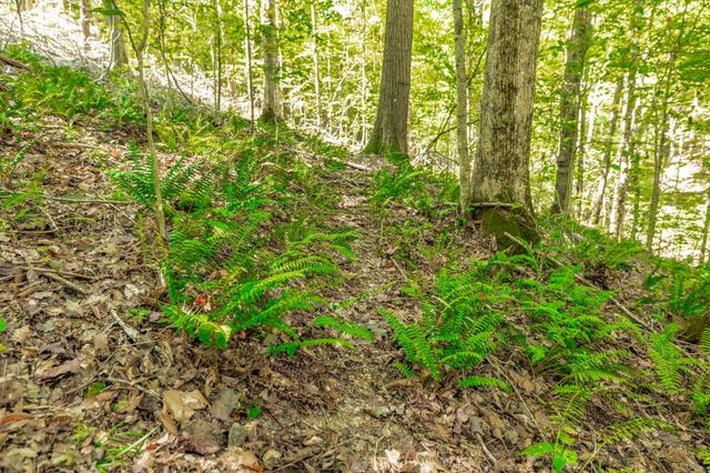 0 Spring Hollow Rd, Lafayette, TN 37083